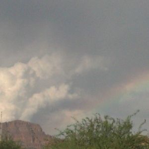 Meet your Posher, Leanne